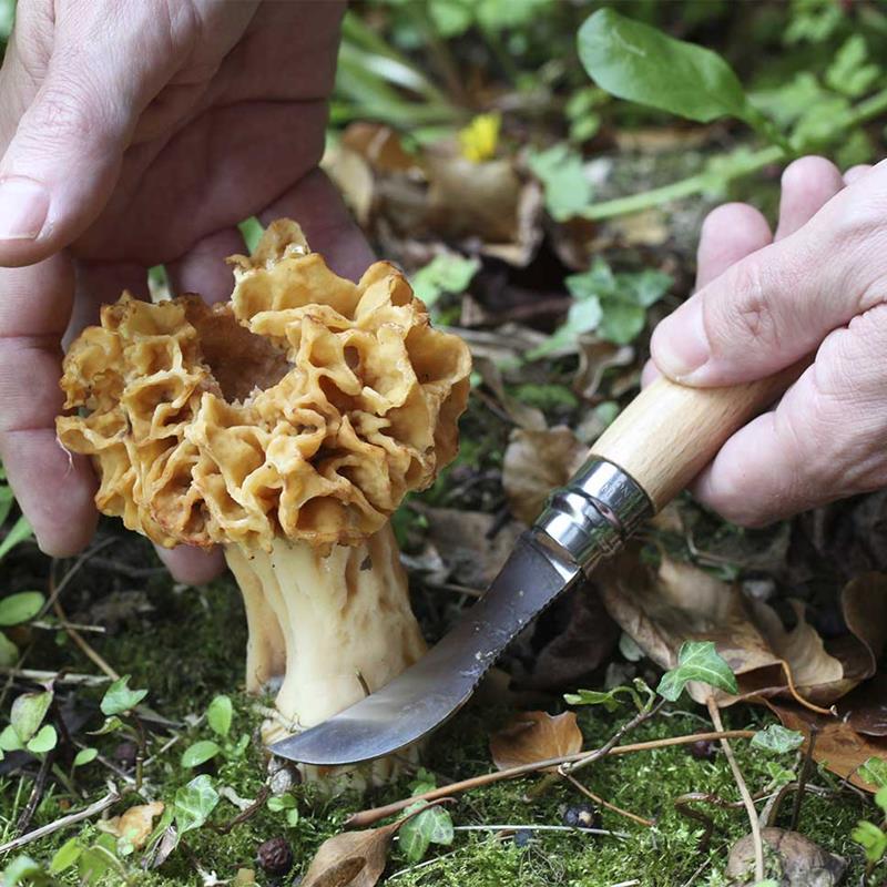 Imagem de Faca Opinel Inox N&ordm;8 Cogumelos