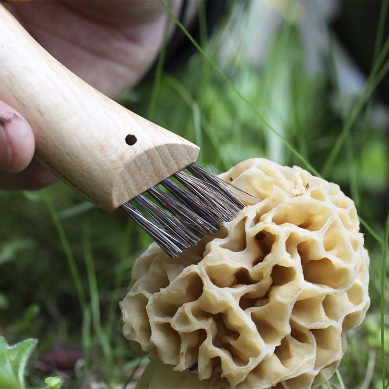 Imagem de Faca Opinel Inox N&ordm;8 Cogumelos