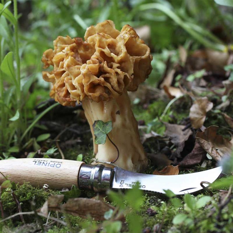 Imagem de Faca Opinel Inox N&ordm;8 Cogumelos